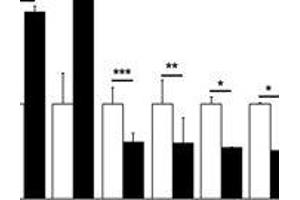 Inverse correlation between DMP and mRNA levels of target genes. (PLCH1 抗体)