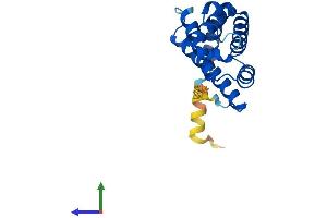 Protein Structure (PS) image for Cytoglobin (CYGB) (AA 1-190) protein (His tag) (ABIN7546915)