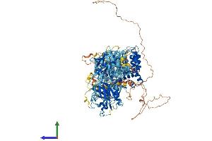 Protein Structure (PS) image for NLR Family, Pyrin Domain Containing 1B (NLRP1B) (AA 1-1233) protein (His tag) (ABIN7563652)