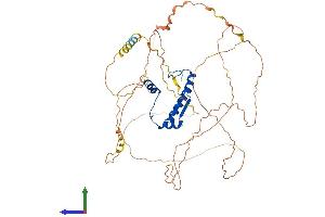 AlphaFold protein structure predicition of Human Recombinant MEF2D Protein, UniprotID Q14814