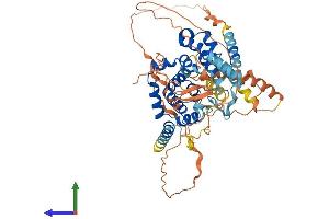 Protein Structure (PS) image for TBC1 Domain Family, Member 3 (TBC1D3) (AA 1-549) protein (His tag) (ABIN7544167)