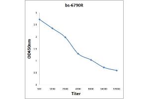 Antigen: 0. (14-3-3 zeta 抗体  (AA 51-150))