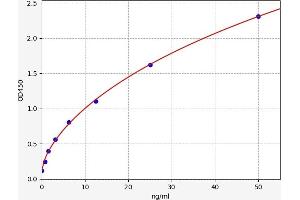 Typical standard curve (TNFRSF8 ELISA 试剂盒)