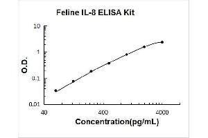 Typical Standard Curve