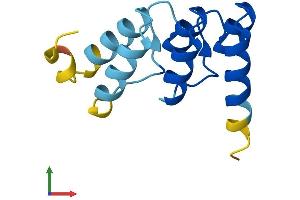 Protein Structure (PS) image for NOTCH-Regulated Ankyrin Repeat Protein (NRARP) (AA 1-114) protein (His tag) (ABIN7564830)