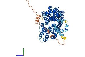 Protein Structure (PS) image for Solute Carrier Family 2 (Facilitated Glucose Transporter), Member 14 (SLC2A14) (AA 1-520) protein (His tag) (ABIN7548244)