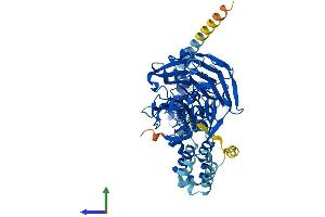 Protein Structure (PS) image for Kelch-Like 7 (KLHL7) (AA 1-586) protein (His tag) (ABIN7558900)