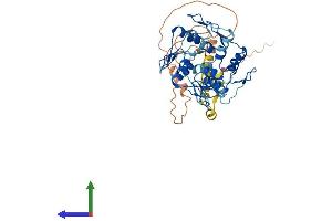 Protein Structure (PS) image for Zinc Finger Protein 154 (ZNF154) (AA 1-437) protein (His tag) (ABIN7545641)