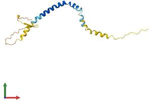 AlphaFold protein structure predicition of Human Recombinant TMEM78 Protein, UniprotID Q5T7P6 (TMEM78 Protein (AA 1-136) (His tag))
