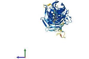 AlphaFold protein structure predicition of Mouse Recombinant Klhl42 Protein, UniprotID Q8BFQ9