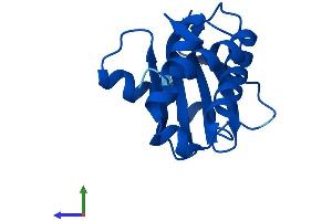 Protein Structure (PS) image for Adaptor-Related Protein Complex 2, sigma 1 Subunit (AP2S1) (AA 1-142) protein (His tag) (ABIN7552095)