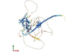 Protein Structure (PS) image for Cell Cycle and Apoptosis Regulator 2 (CCAR2) (AA 1-923) protein (His tag) (ABIN7553008)