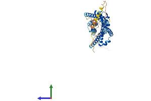 Protein Structure (PS) image for Chemokine-Like Receptor 1 (CMKLR1) (AA 1-373) protein (His tag) (ABIN7553474)
