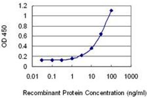 Detection limit for recombinant GST tagged DGAT2 is 0. (DGAT2 抗体  (AA 289-388))