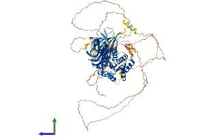 Protein Structure (PS) image for phosphofurin Acidic Cluster Sorting Protein 2 (PACS2) (AA 1-889) protein (His tag) (ABIN7554842)