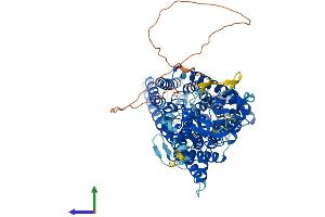 Protein Structure (PS) image for Chloride Channel, Voltage-Sensitive 7 (CLCN7) (AA 1-803) protein (His tag) (ABIN7562557)