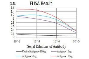 Black line: Control Antigen (100 ng),Purple line: Antigen (10 ng), Blue line: Antigen (50 ng), Red line:Antigen (100 ng) (BCR 抗体  (AA 139-280))