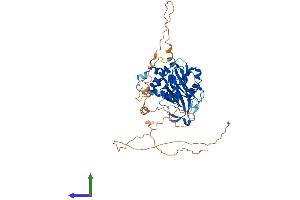 Protein Structure (PS) image for Ubiquitin Specific Peptidase 17-Like 2 (USP17L2) (AA 1-530) protein (His tag) (ABIN7555874)