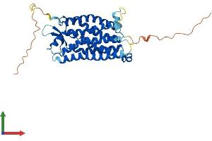 Protein Structure (PS) image for Complement Component 5a Receptor 1 (C5AR1) (AA 1-351) protein (His tag) (ABIN7563102)