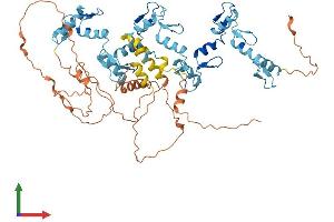 Protein Structure (PS) image for Zinc Finger Protein 416 (ZNF416) (AA 1-594) protein (His tag) (ABIN7545271)