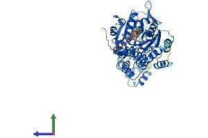 Protein Structure (PS) image for Glycerate Kinase (GLYCTK) (AA 1-523) protein (His tag) (ABIN7547928)