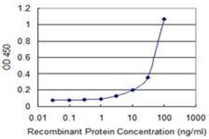 Detection limit for recombinant GST tagged ERBB2 is 1 ng/ml as a capture antibody. (ErbB2/Her2 抗体  (AA 22-121))