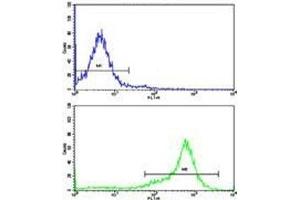 Flow Cytometry (FACS) image for anti-Protein tyrosine Phosphatase, Non-Receptor Type 11 (PTPN11) (AA 526-551) antibody (ABIN3032394)