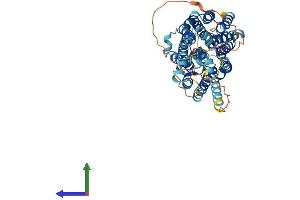 Protein Structure (PS) image for Solute Carrier Family 2 (Facilitated Glucose Transporter), Member 10 (SLC2A10) (AA 1-536) protein (His tag) (ABIN7559920)