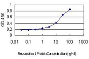 Detection limit for recombinant GST tagged MMP26 is approximately 1ng/ml as a capture antibody. (MMP26 抗体  (AA 152-261))