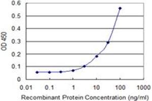 Detection limit for recombinant GST tagged HDAC3 is 1 ng/ml as a capture antibody. (HDAC3 抗体  (AA 1-428))