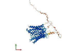 AlphaFold protein structure predicition of Mouse Recombinant Slc16a8 Protein, UniprotID O35308 (MCT3 Protein (AA 1-492) (His tag))