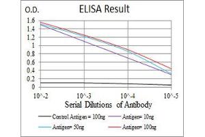 Black line: Control Antigen (100 ng), Purple line: Antigen(10 ng), Blue line: Antigen (50 ng), Red line: Antigen (100 ng), (ATG5 抗体)