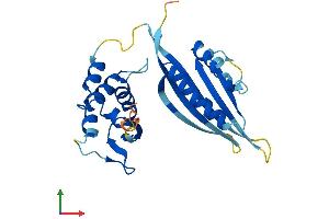 Protein Structure (PS) image for Potassium Channel Tetramerisation Domain Containing 6 (KCTD6) (AA 1-237) protein (His tag) (ABIN7548856)