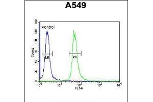 Flow cytometric analysis of A549 cells (right histogram) compared to a negative control cell (left histogram). (GNAT3 抗体  (AA 78-105))