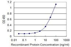 Detection limit for recombinant GST tagged KIF16B is 0. (KIF16B 抗体  (AA 65-174))