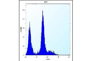 Flow Cytometry (FACS) image for anti-Platelet Derived Growth Factor Receptor alpha (PDGFRA) (AA 1048-1077), (C-Term) antibody (ABIN392022)