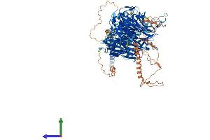 Protein Structure (PS) image for Syntaxin Binding Protein 5 (Tomosyn) (STXBP5) (AA 1-1151) protein (His tag) (ABIN7555655)