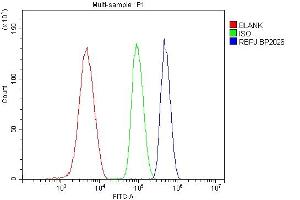 Flow Cytometry analysis of HL-60 cells using anti-RBPJ antibody (ABIN7601670).