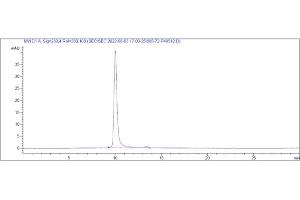 The purity of Anti-IL-33 Reference Antibody (tozorakimab) is 99. (Recombinant IL33 (Tozorakimab Biosimilar) 抗体)