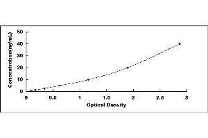 Typical standard curve (HSPB2 ELISA 试剂盒)