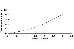 Typical standard curve (CD3D ELISA 试剂盒)