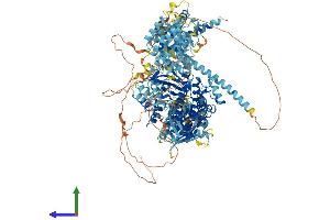 Protein Structure (PS) image for Mitogen-Activated Protein Kinase Kinase Kinase 15 (MAP3K15) (AA 1-1331) protein (His tag) (ABIN7561947)