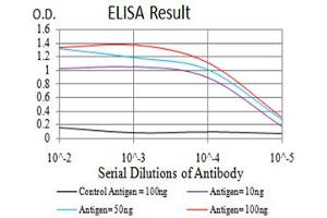 Black line: Control Antigen (100 ng), Purple line: Antigen(10 ng), Blue line: Antigen (50 ng), Red line: Antigen (100 ng), (Histone Cluster 2, H4a (HIST2H4A) (3meLys20) 抗体)