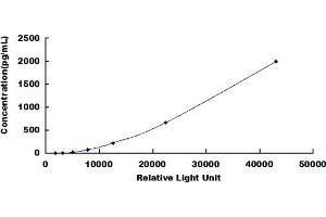 ELISA image for Chemokine (C-C Motif) Ligand 24 (CCL24) CLIA Kit (ABIN492089)