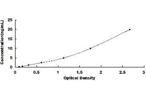 Typical standard curve (IGLL5 ELISA 试剂盒)