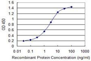 Detection limit for recombinant GST tagged ENAM is 0. (Enamelin 抗体  (AA 1043-1141))