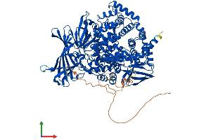 Protein Structure (PS) image for Endoplasmic Reticulum Aminopeptidase 1 (ERAP1) (AA 1-941) protein (His tag) (ABIN7553855)