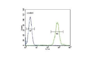 Flow Cytometry (FACS) image for anti-Solute Carrier Family 8 (Sodium/calcium Exchanger), Member 1 (SLC8A1) (AA 296-325) antibody (ABIN652886)