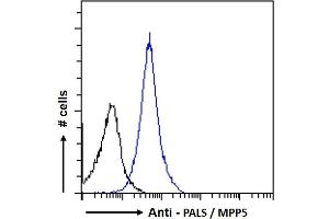ABIN185150 Flow cytometric analysis of paraformaldehyde fixed HeLa cells (blue line), permeabilized with 0.
