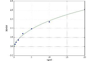 A typical standard curve